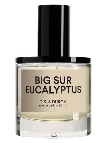 Big Sur Eucalyptus
