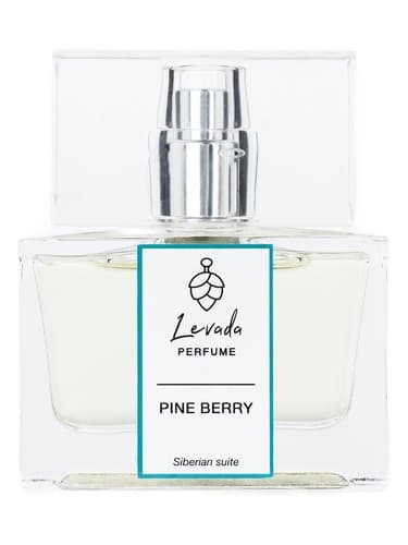 Pine Berry - توت کاج