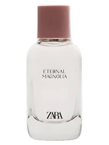 Eternal Magnolia