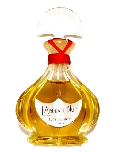 L'Ardente Nuit
