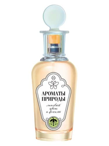 Липовый Цвет и Флоксы - Linden Blossom and Phlox - Липовый Цвет и Флоксы - شکوفه لیندن و فلوکس