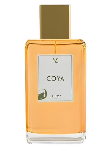Coya