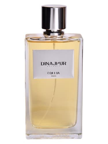 Dinajpur - دیناجپور