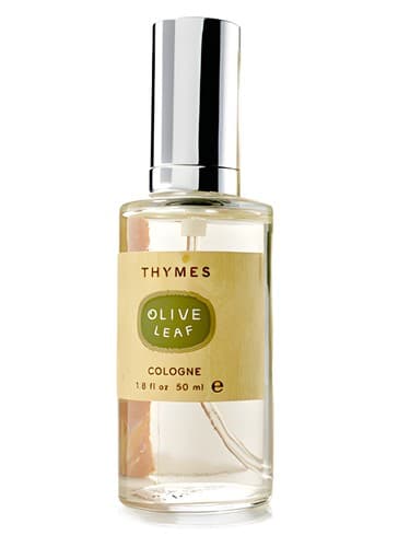 Olive Leaf - برگ زیتون