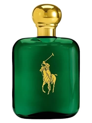 Polo - چوگان
