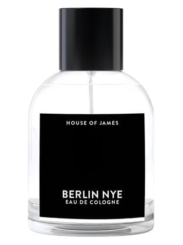Berlin NYE - برلین NYE
