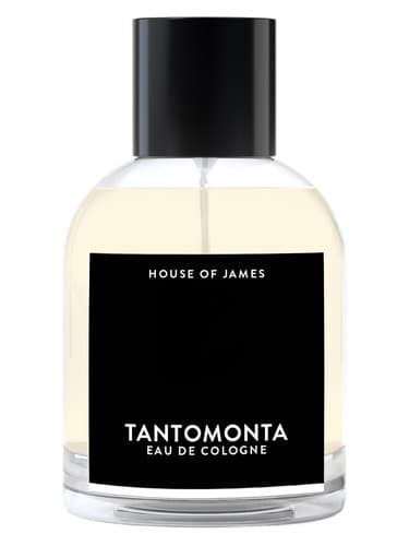 Tantomonta - تانتومونتا