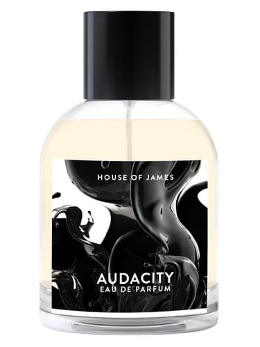 Audacity - جسارت