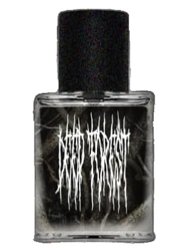 Deep Forest - جنگل عمیق