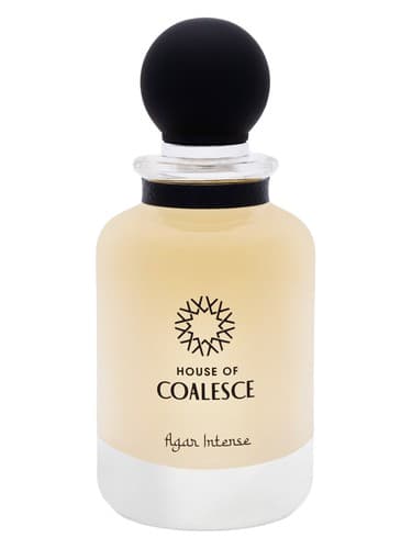 Agar Intense - آگار شدید