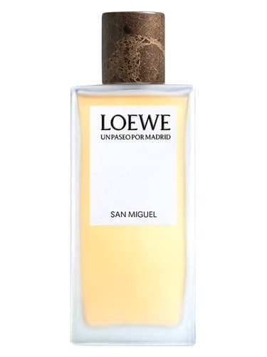 San Miguel - سن میگل