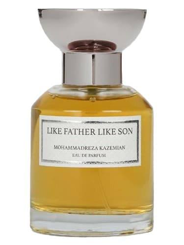 Like Father Like Son - مثل پدر مثل پسر