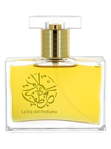 Oud Beyond - عود فراتر