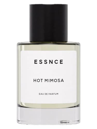 Hot Mimosa