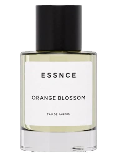 Orange Blossom