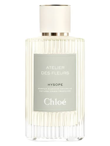 Hysope - هیسوپ