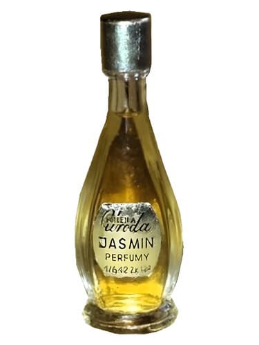 Jasmin - یاسمین