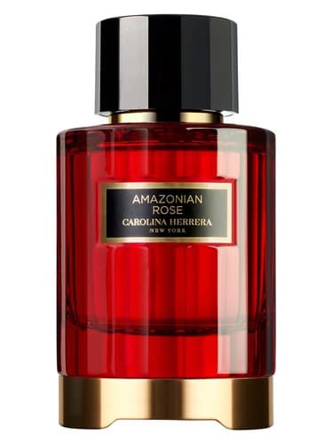 Amazonian Rose - رز آمازونی