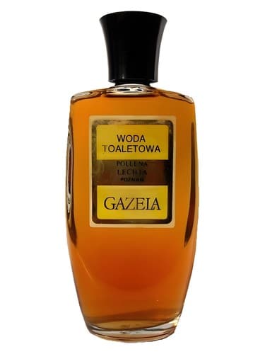 Gazela - غزال