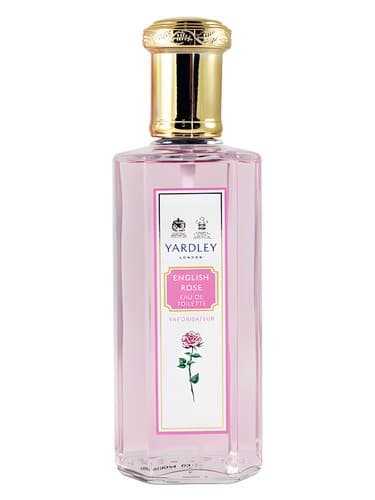 English Rose - رز انگلیسی
