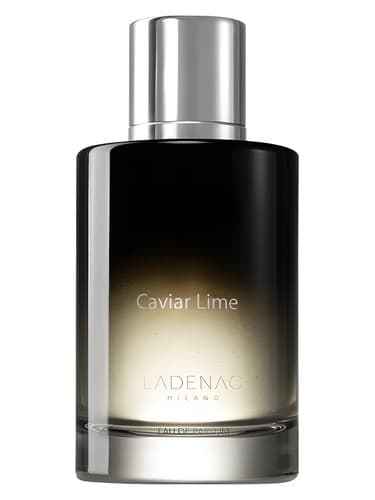 Caviar Lime  