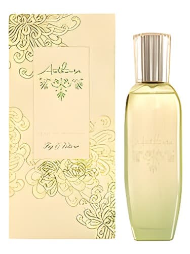 Fig & Vetiver - انجیر و وتیور