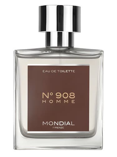 N° 908 Homme - شماره 908 خانه