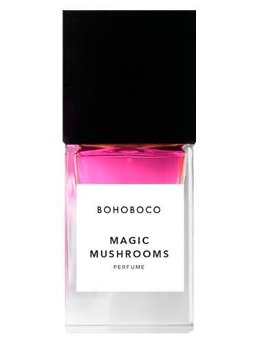 Magic Mushrooms - قارچ جادویی