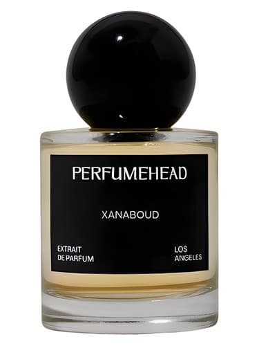 Xanaboud - زانابود