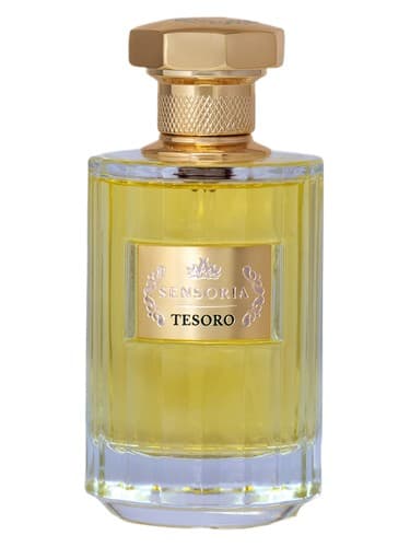 Tezoro - تزورو