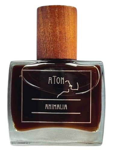 Animalia - حیوانات
