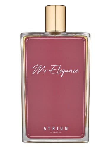 Mr Elegance - آقای الگانس