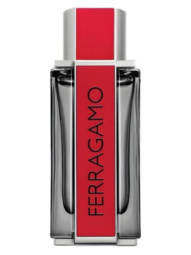 Ferragamo Red Leather - چرم رد فراگامو