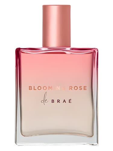 Blooming Rose