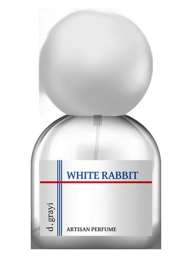 White Rabbit - خرگوش وایت