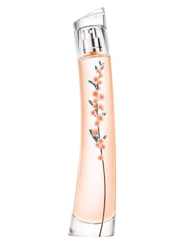 Flower Ikebana Mimosa - گل ایکبانا میموزا