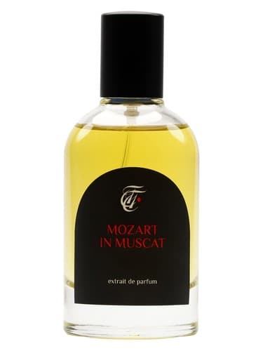 Mozart in Muscat - موتزارت در مسقط