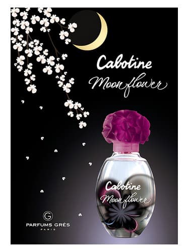 Cabotine Moon Flower - گل مون کابوتین