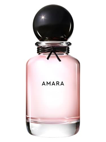Amara - آمارا