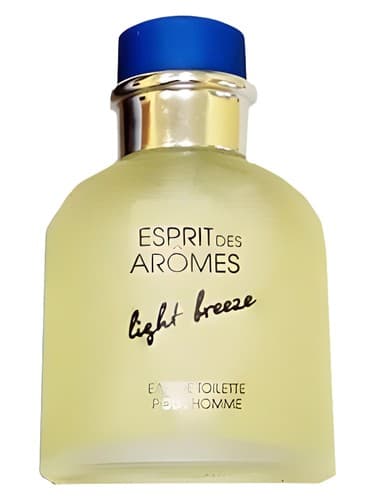 Light Breeze pour Homme