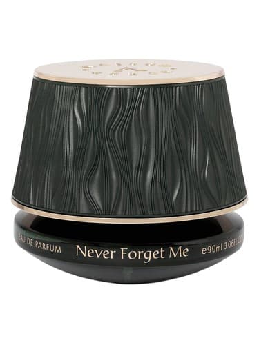 Never Forget Me - هرگز مرا فراموش نکن