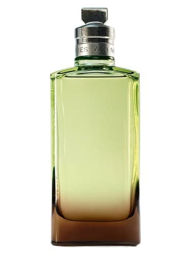 Mystic Moss - میستیک ماس
