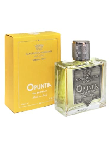 Opuntia - اوپونتیا