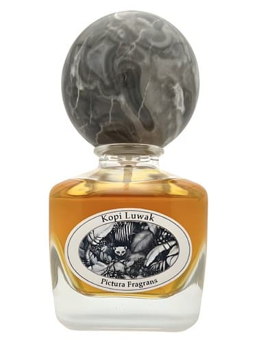Kopi Luwak - کپی لواک