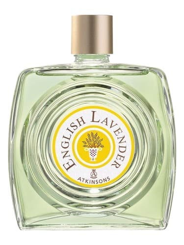English Lavender - اسطوخودوس انگلیسی