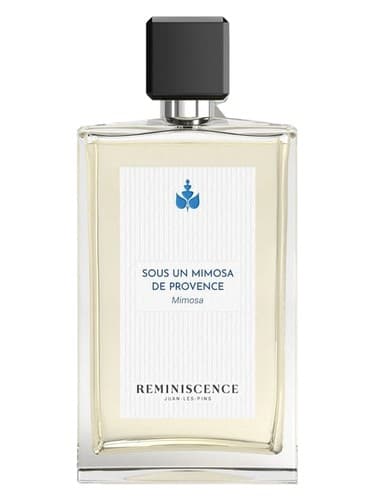Sous un Mimosa de Provence