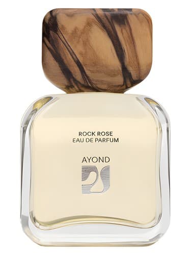 Rock Rose - راک رز