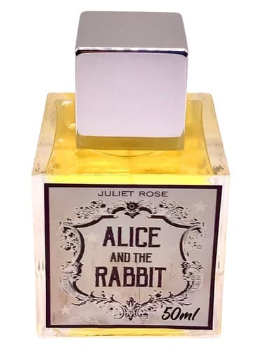 Alice & The Rabbit - آلیس و خرگوش