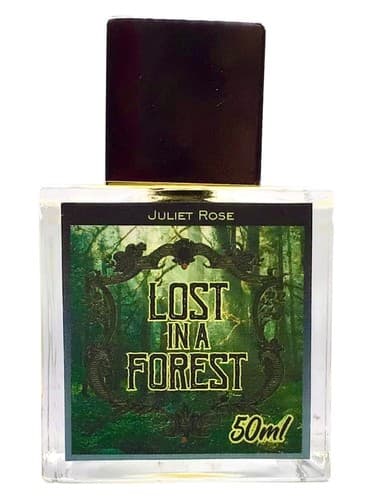 Lost in a Forest - گم شده در یک جنگل