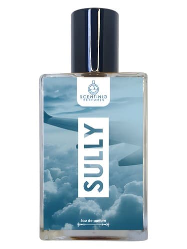 Sully - سالی